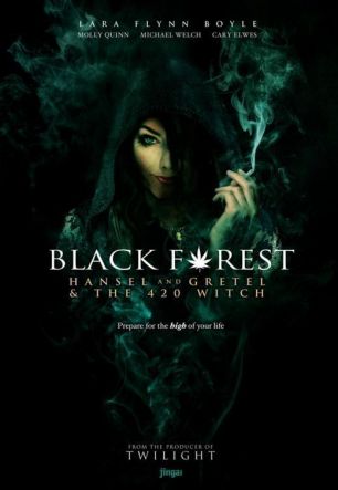 Темный лес: Ганс, Грета и 420-я ведьма