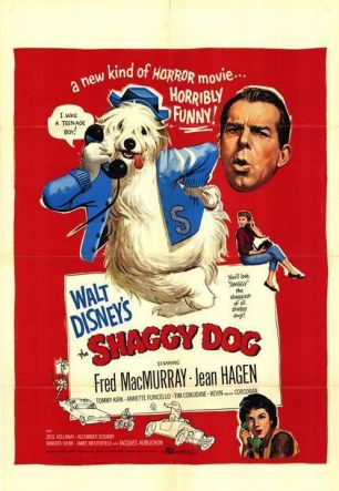 Shaggy Dog