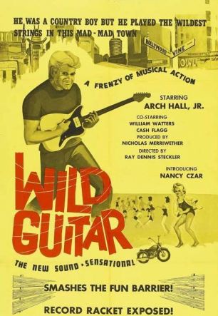 Wild Guitar