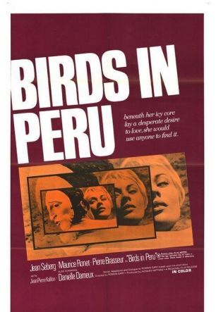 Les oiseaux vont mourir au Pérou