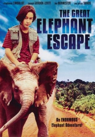 Великий побег слонов