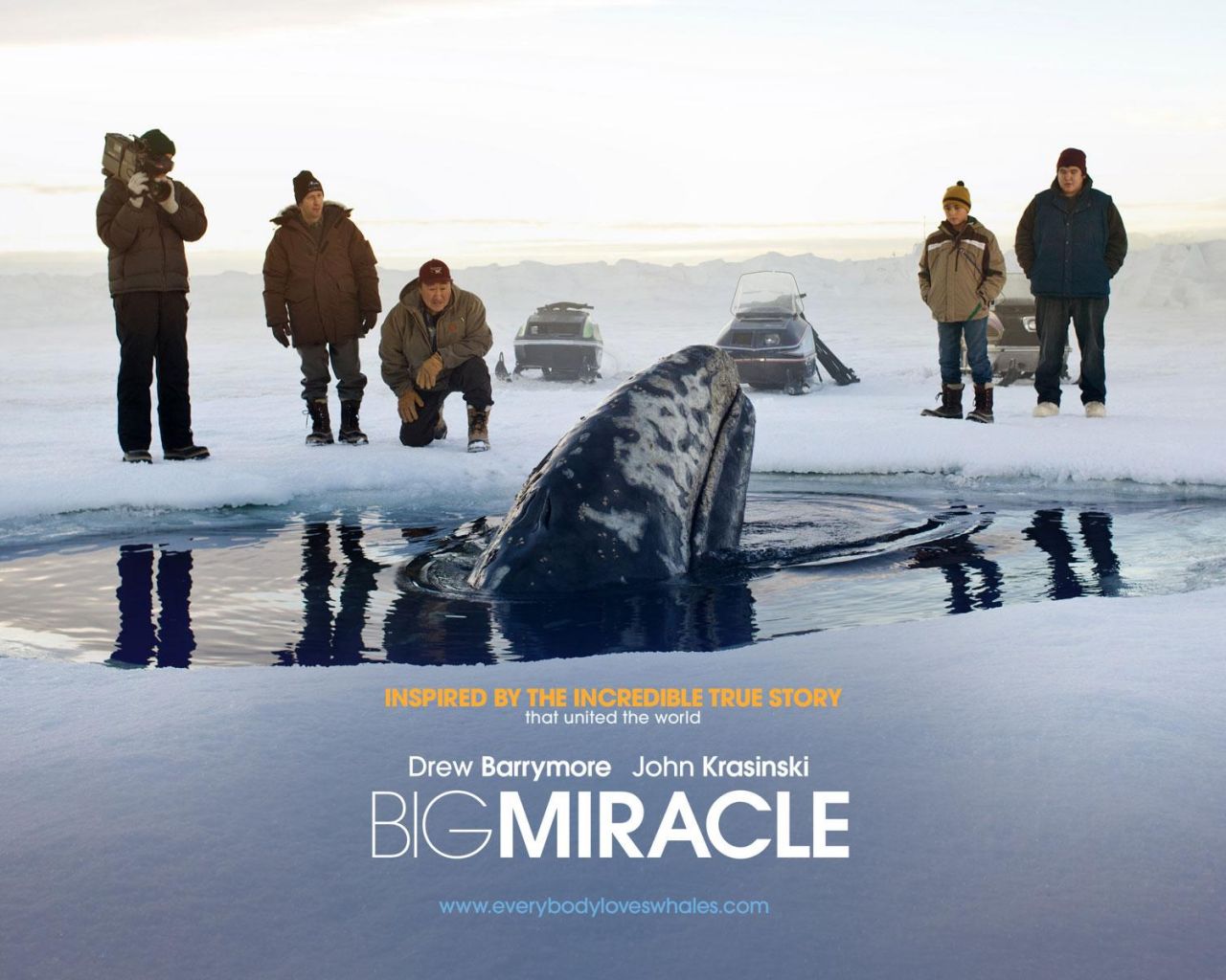 Фильм Все любят китов | Big Miracle - лучшие обои для рабочего стола