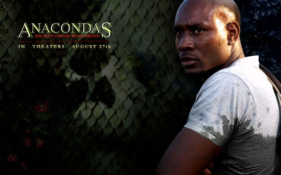 Фильм Анаконда 2: Охота за проклятой орхидеей | Anacondas: The Hunt for the Blood Orchid - лучшие обои для рабочего стола