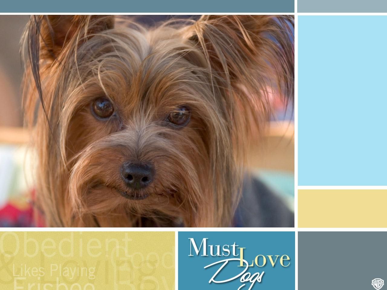 Фильм Любовь к собакам обязательна | Must Love Dogs - лучшие обои для рабочего стола