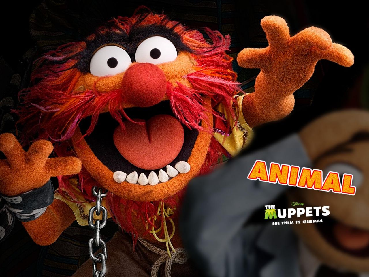 Фильм Маппеты | Muppets - лучшие обои для рабочего стола