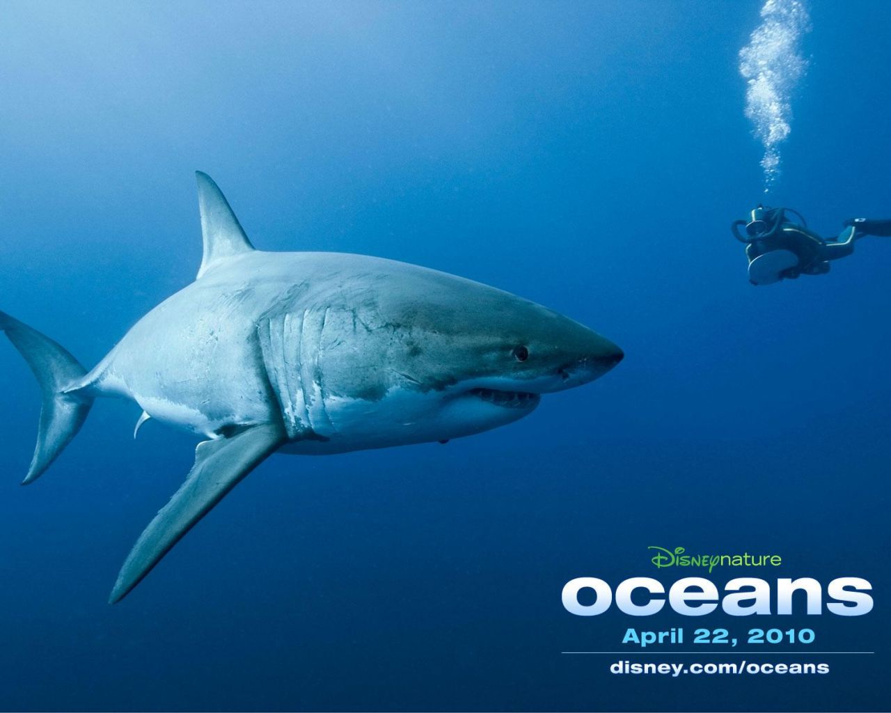 Фильм Океаны | Océans - лучшие обои для рабочего стола