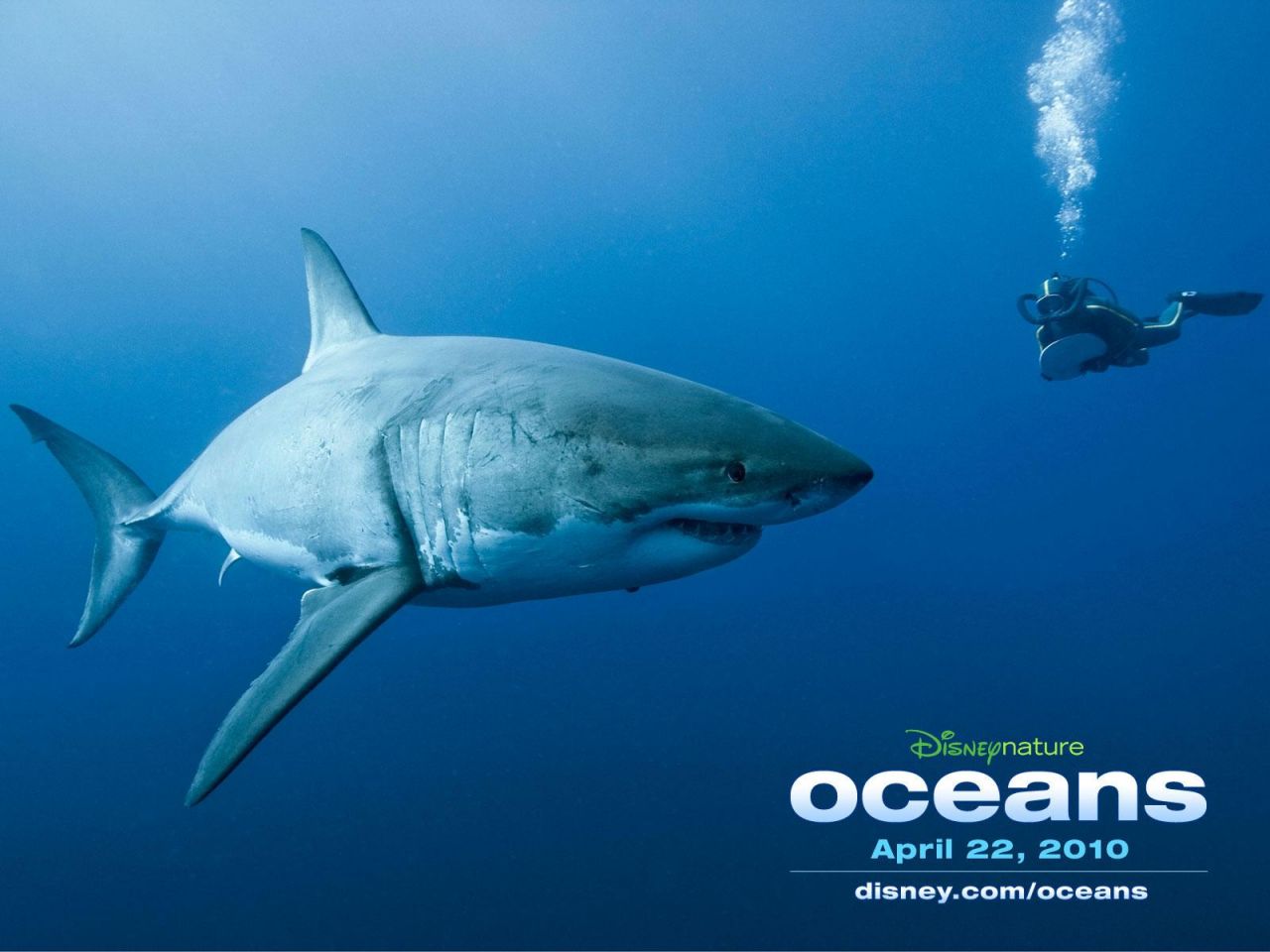 Фильм Океаны | Océans - лучшие обои для рабочего стола