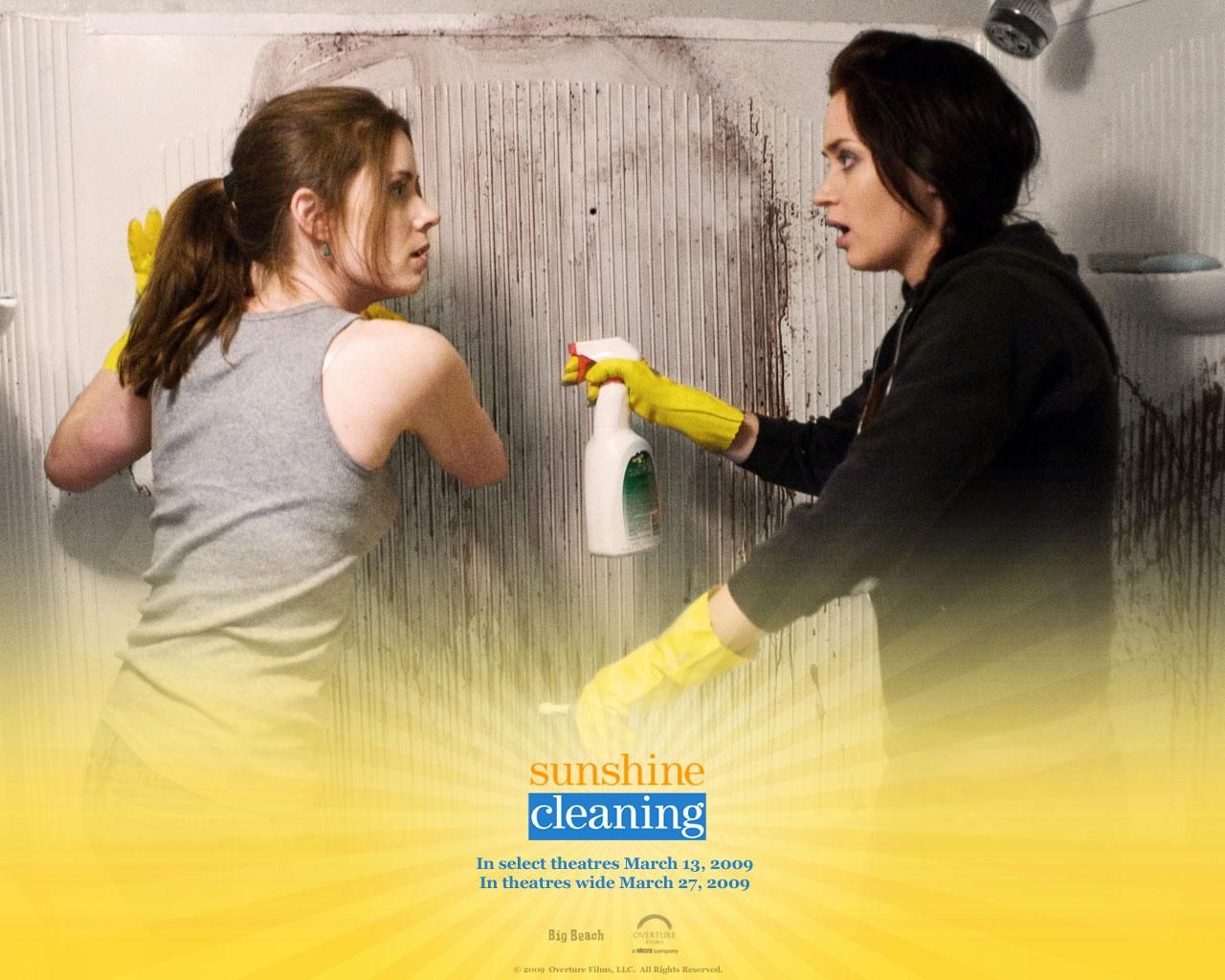 Фильм Чистка до блеска | Sunshine Cleaning - лучшие обои для рабочего стола
