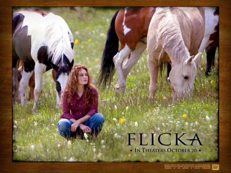 Фильм Флика | Flicka - лучшие обои для рабочего стола