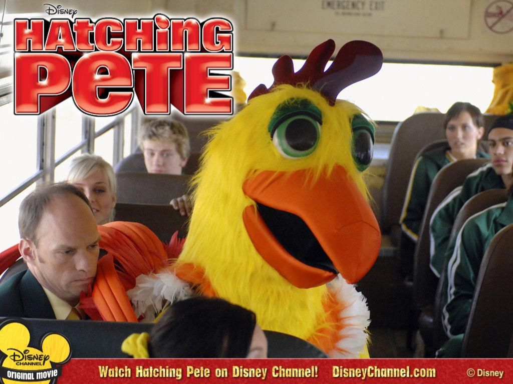 Фильм Цыпленок Пит | Hatching Pete - лучшие обои для рабочего стола