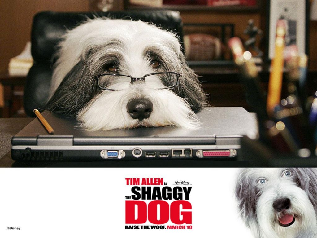 Фильм Лохматый папа | Shaggy Dog - лучшие обои для рабочего стола