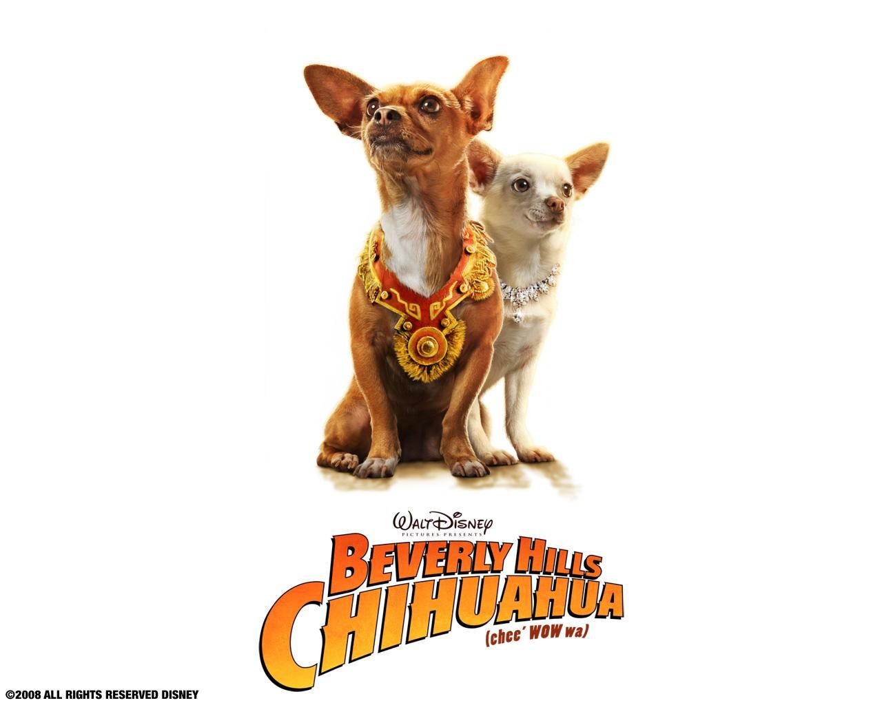 Фильм Крошка из Беверли-Хиллз | Beverly Hills Chihuahua - лучшие обои для рабочего стола
