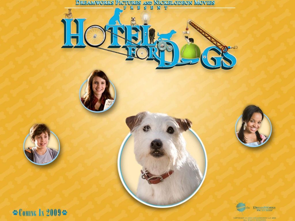 Фильм Отель для собак | Hotel for Dogs - лучшие обои для рабочего стола