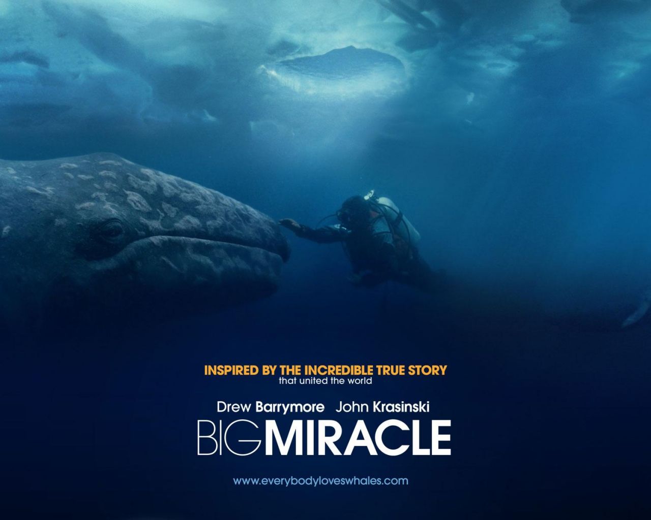 Фильм Все любят китов | Big Miracle - лучшие обои для рабочего стола