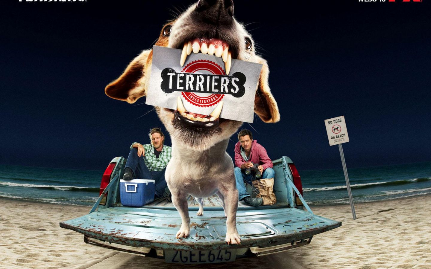 Фильм Терьеры | Terriers - лучшие обои для рабочего стола