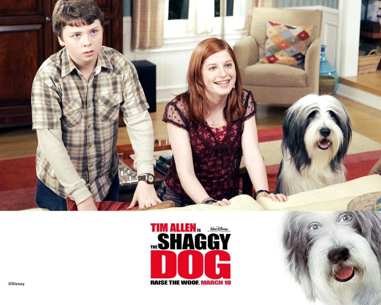 Фильм Лохматый папа | Shaggy Dog - лучшие обои для рабочего стола