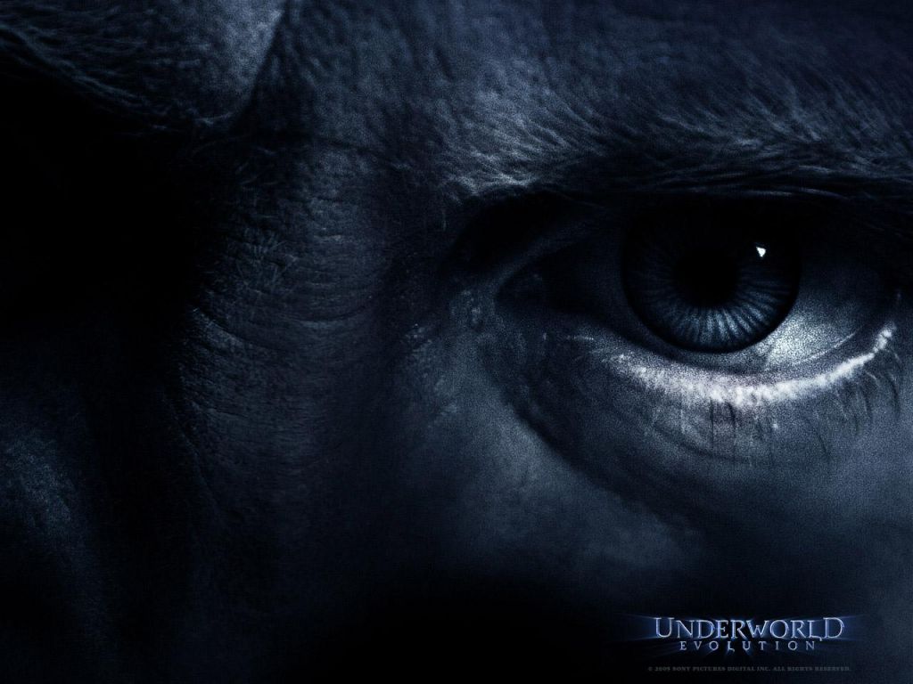 Фильм Другой мир 2: Эволюция | Underworld: Evolution - лучшие обои для рабочего стола