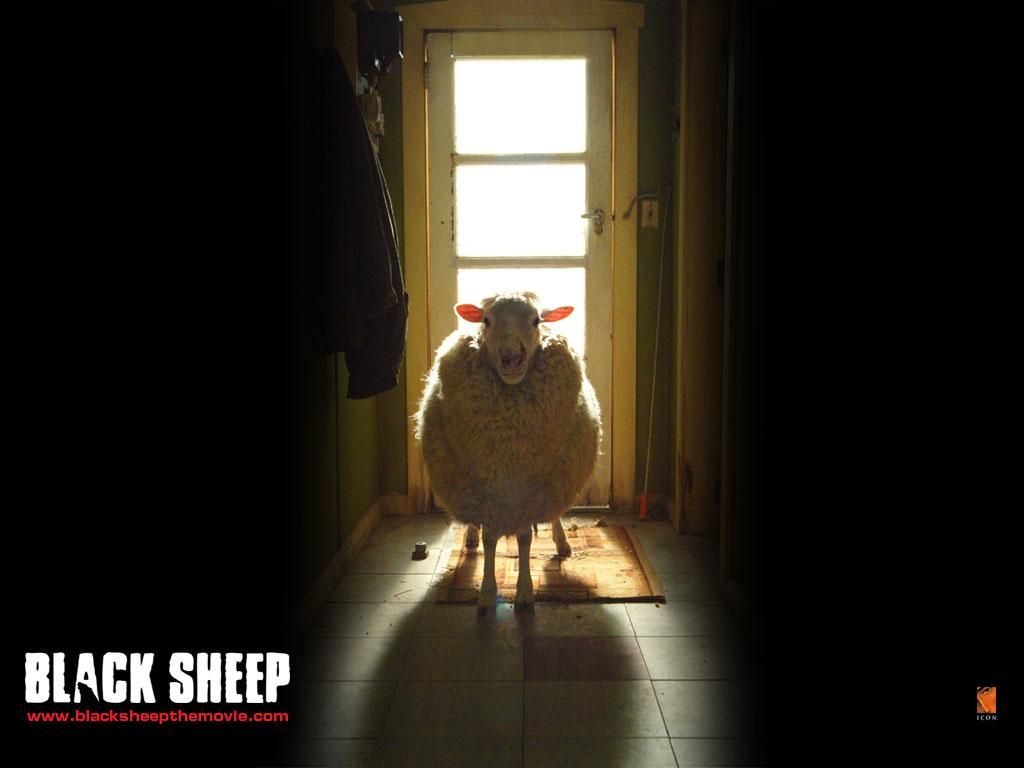 Фильм Паршивая овца | Black Sheep - лучшие обои для рабочего стола