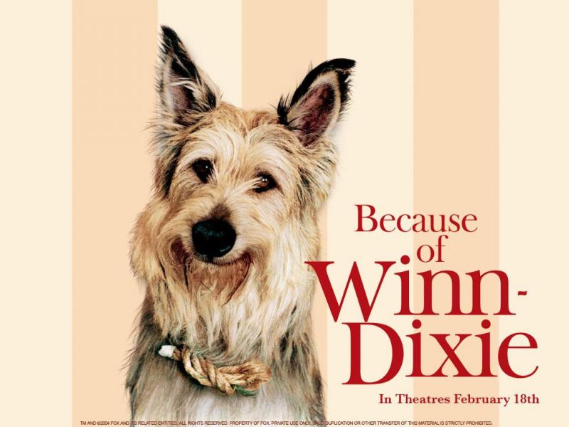 Фильм Благодаря Винн Дикси | Because of Winn-Dixie - лучшие обои для рабочего стола