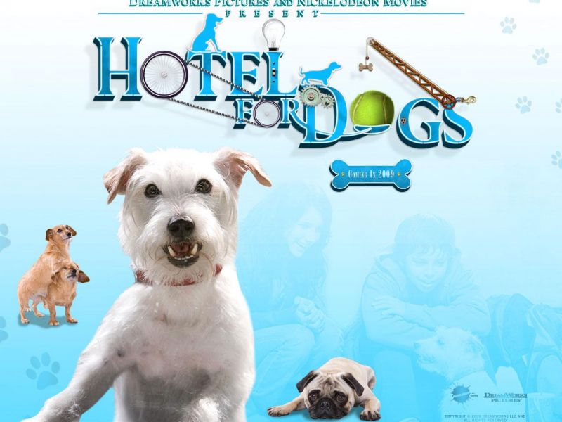 Фильм Отель для собак | Hotel for Dogs - лучшие обои для рабочего стола