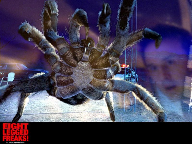 Фильм Атака пауков | Eight Legged Freaks - лучшие обои для рабочего стола