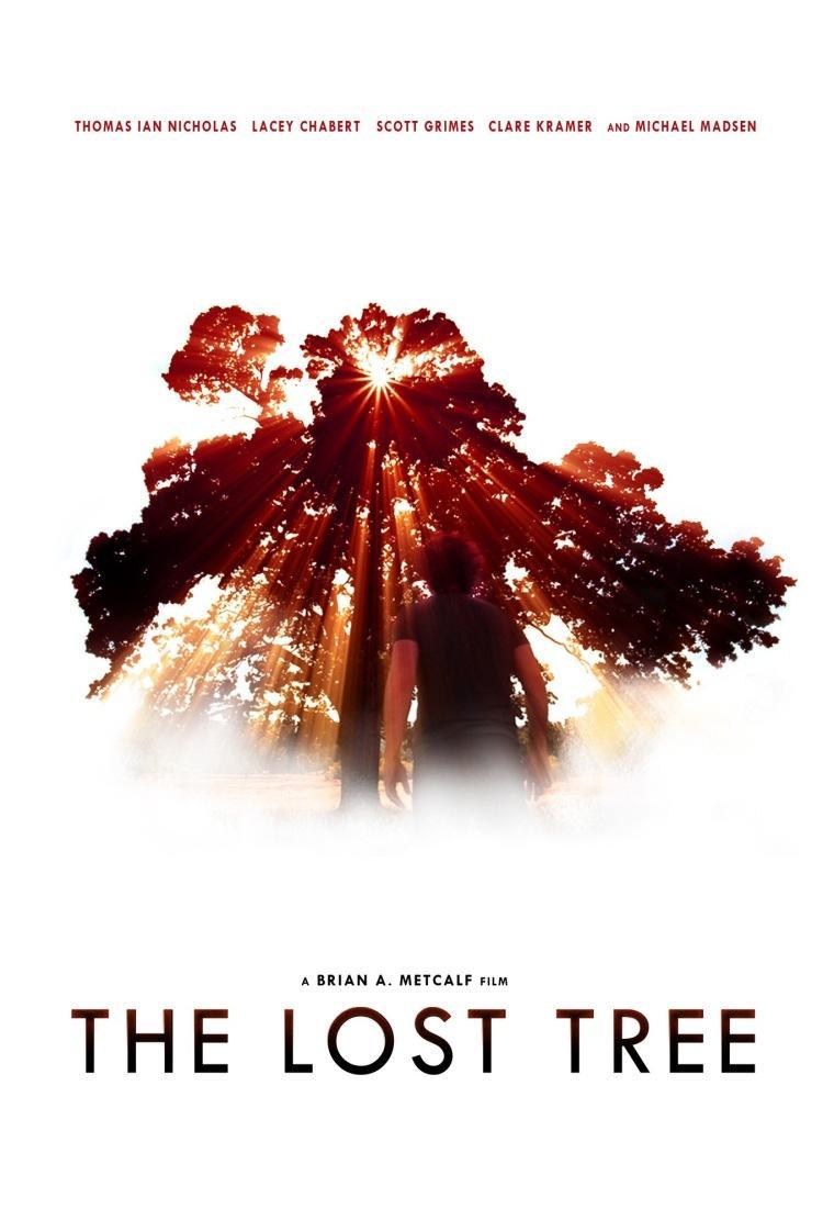 Постер к фильму дерево. Потерянные деревья. Lost tree
