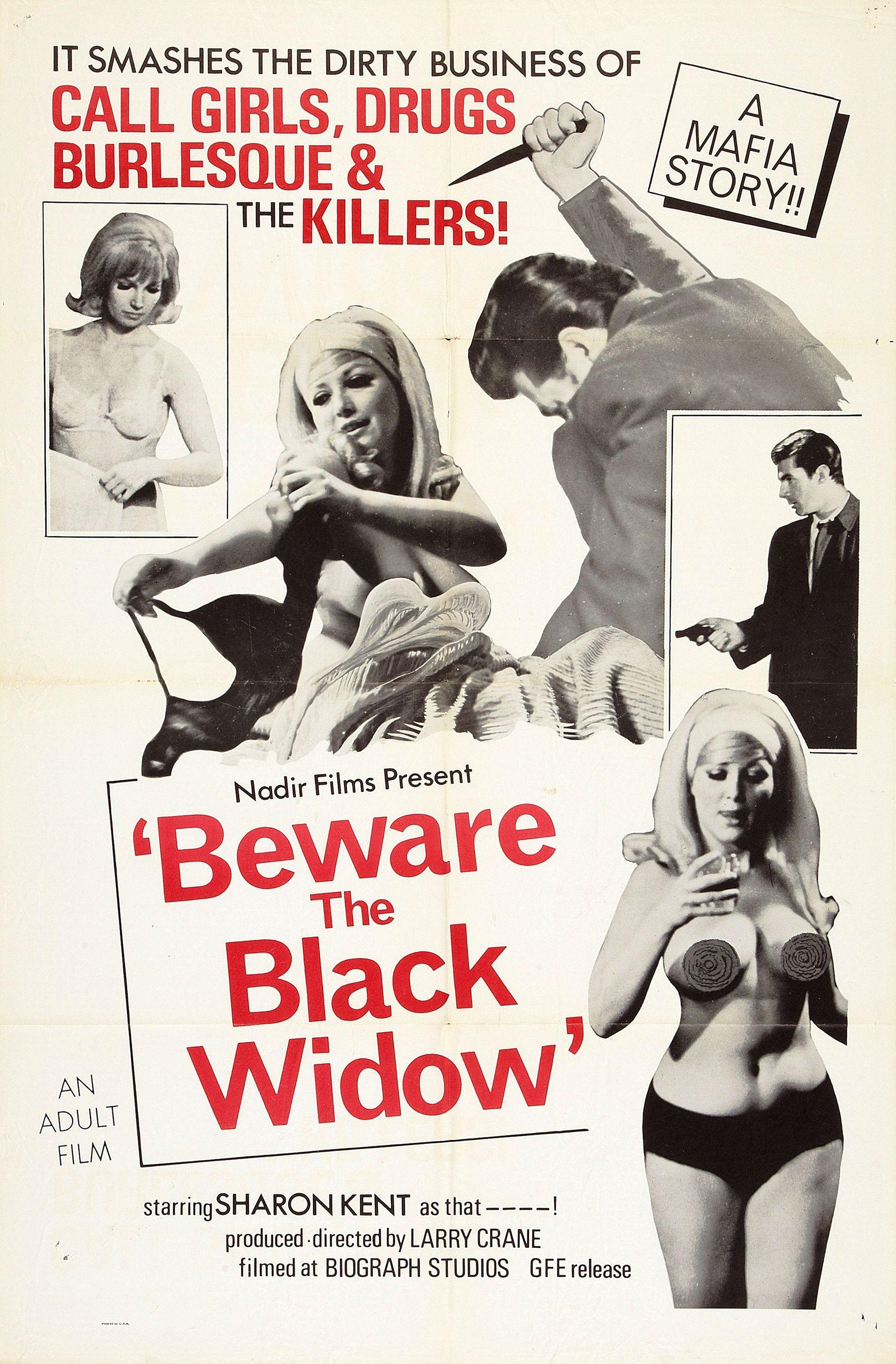 Постер фильма Beware the Black Widow