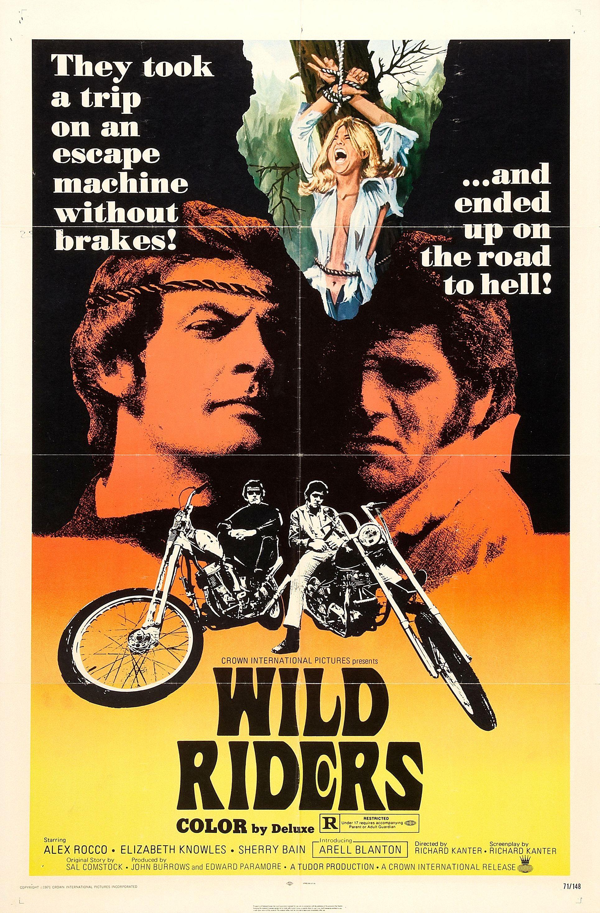Постер фильма Wild Riders