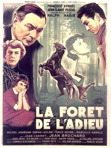 Постер фильма forêt de l'adieu