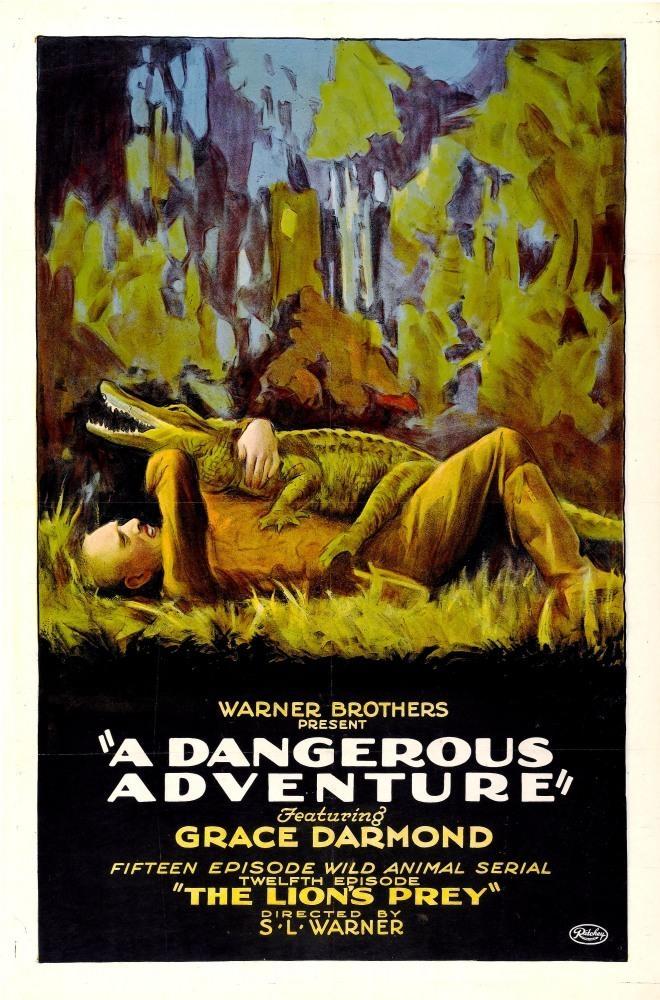 Постер фильма Dangerous Adventure