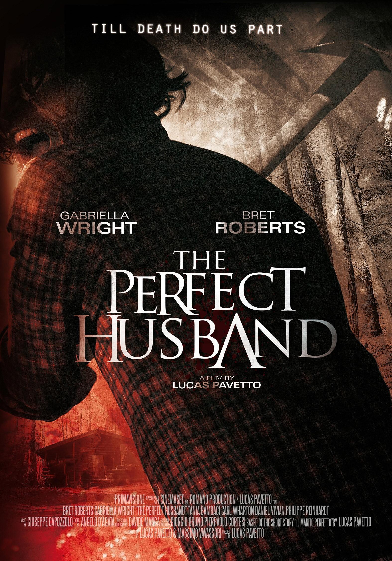 Постер фильма Идеальный муж | Perfect Husband