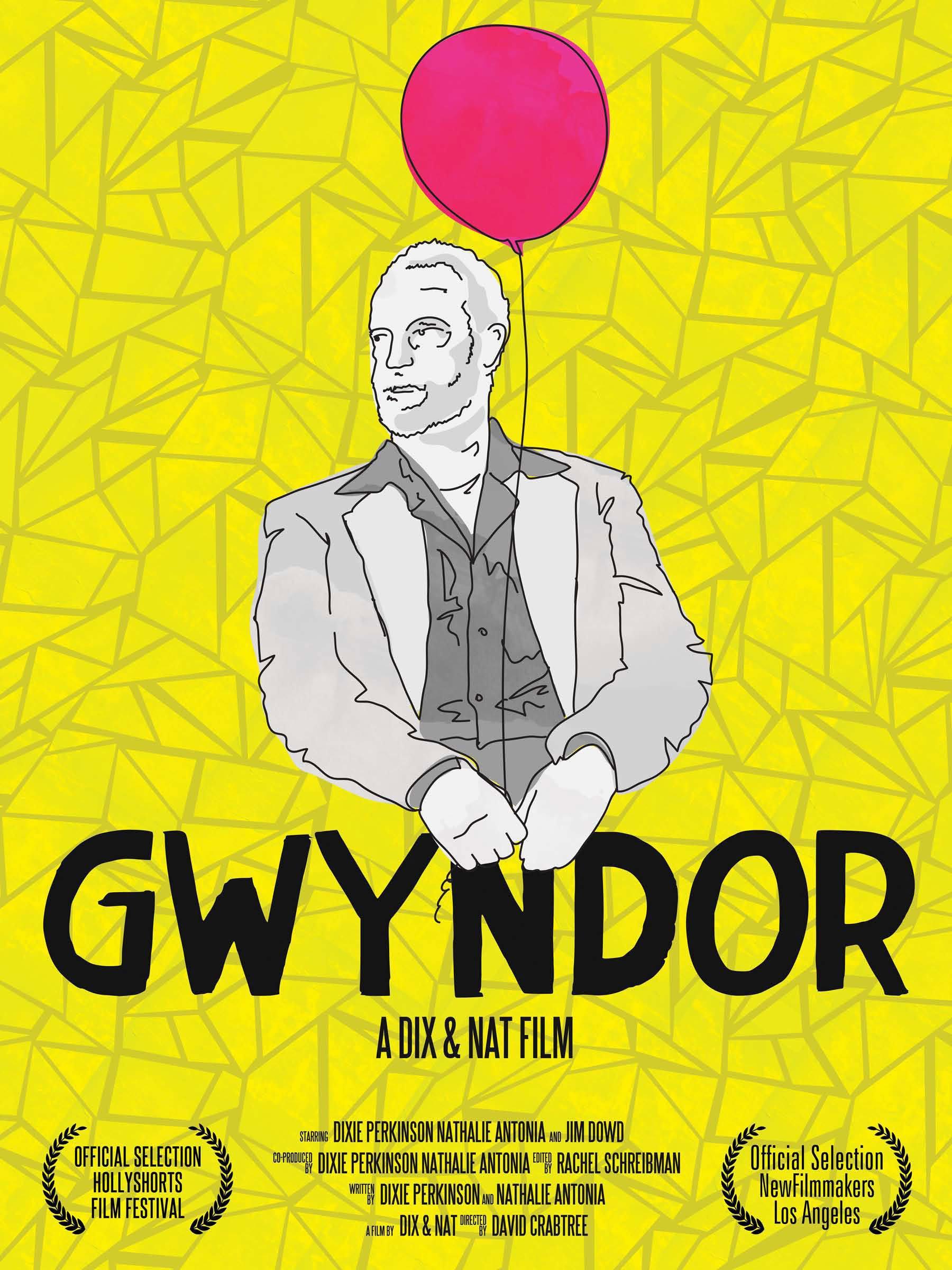 Постер фильма Gwyndor