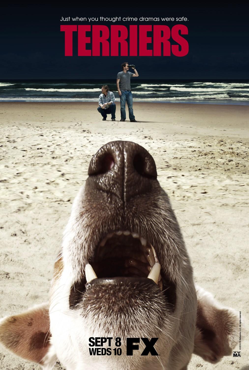 Постер фильма Терьеры | Terriers