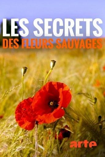 Постер фильма Тайны полевых цветов | Les secrets des fleurs sauvages