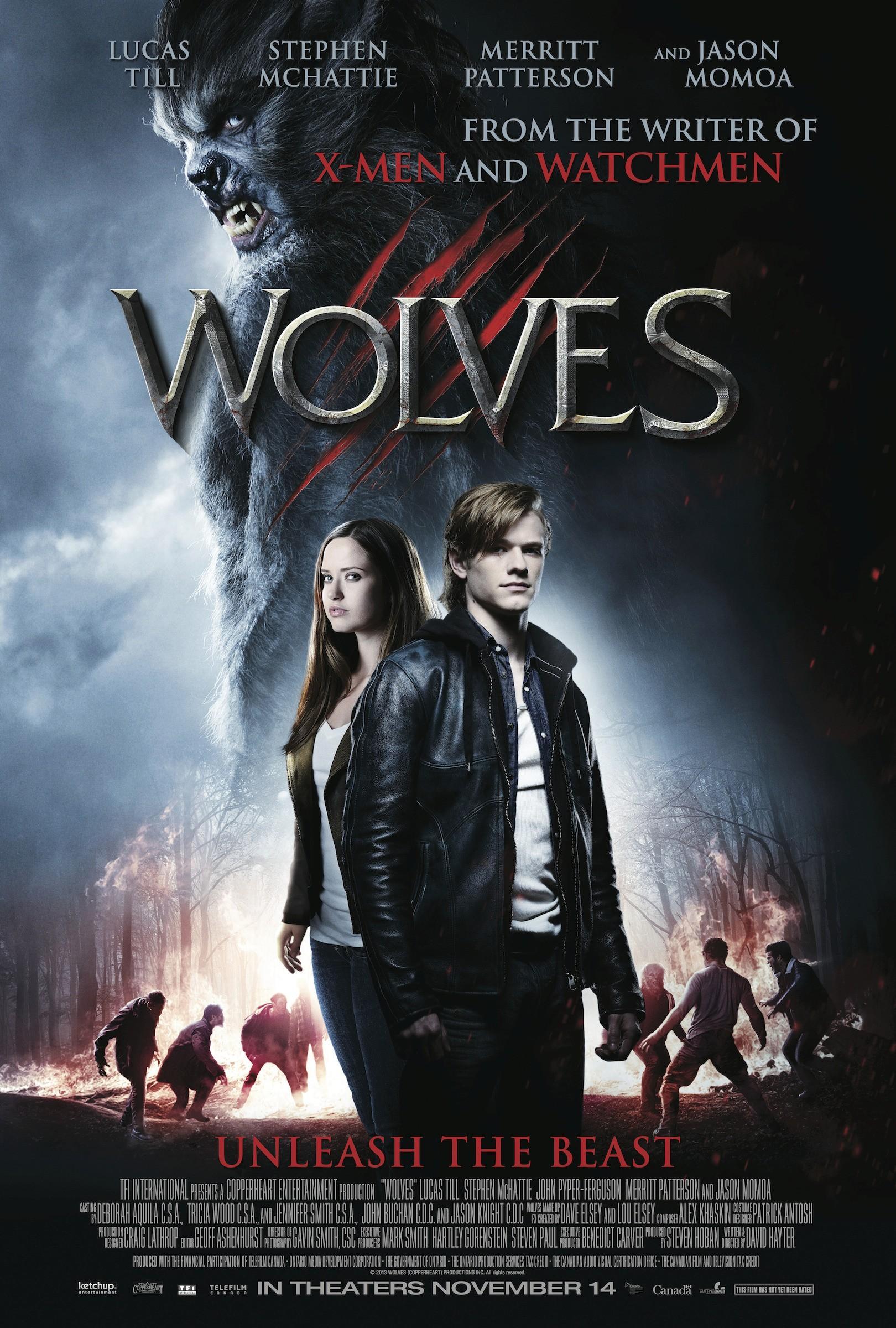 Постер фильма Волки | Wolves