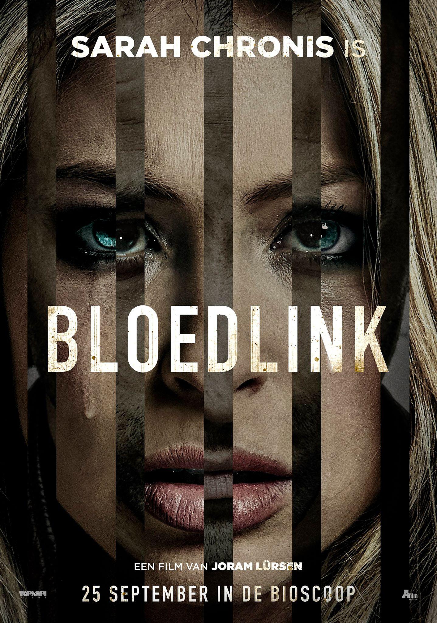 Постер фильма Предательство | Bloedlink
