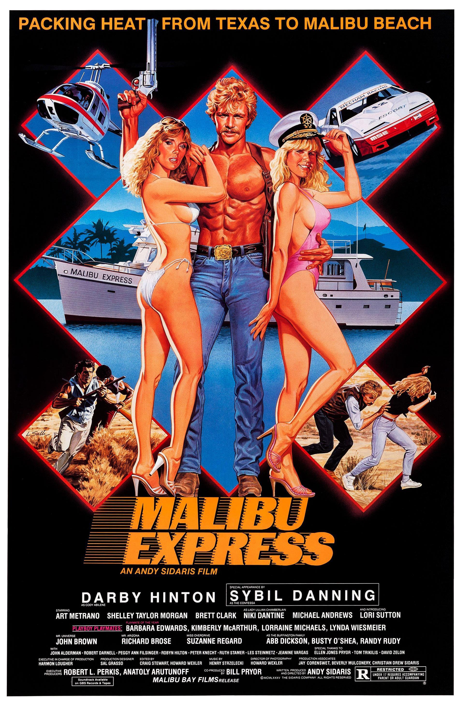 Постер фильма Малибу-экспресс | Malibu Express