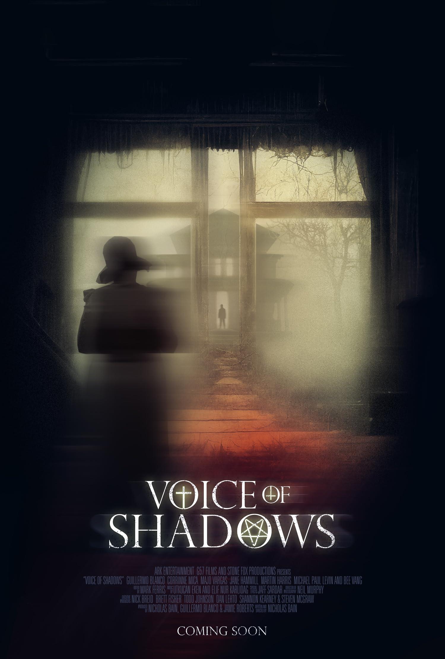 Постер фильма Голос теней | Voice of Shadows