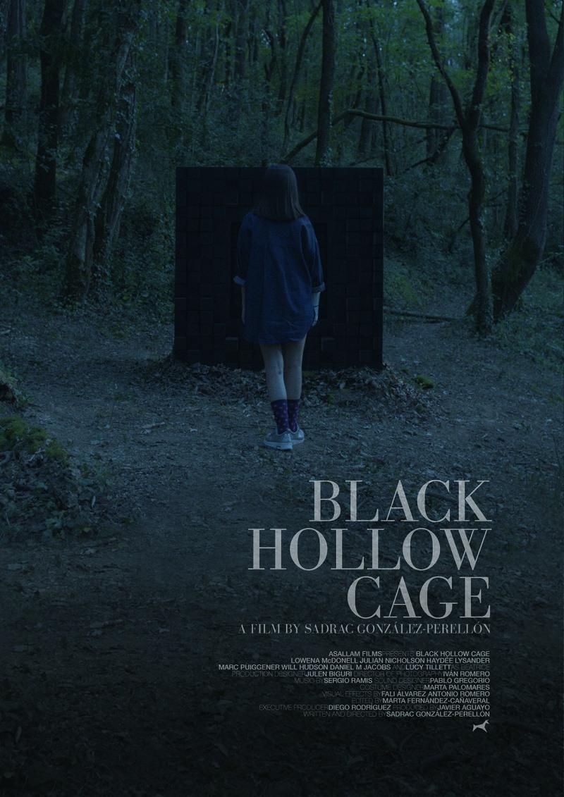 Постер фильма Пустая чёрная клетка | Black Hollow Cage 