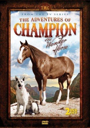 Постер фильма Adventures of Champion