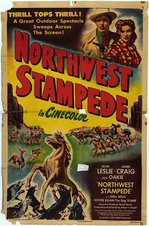 Постер фильма Northwest Stampede