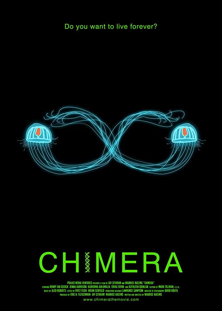 Постер фильма Chimera