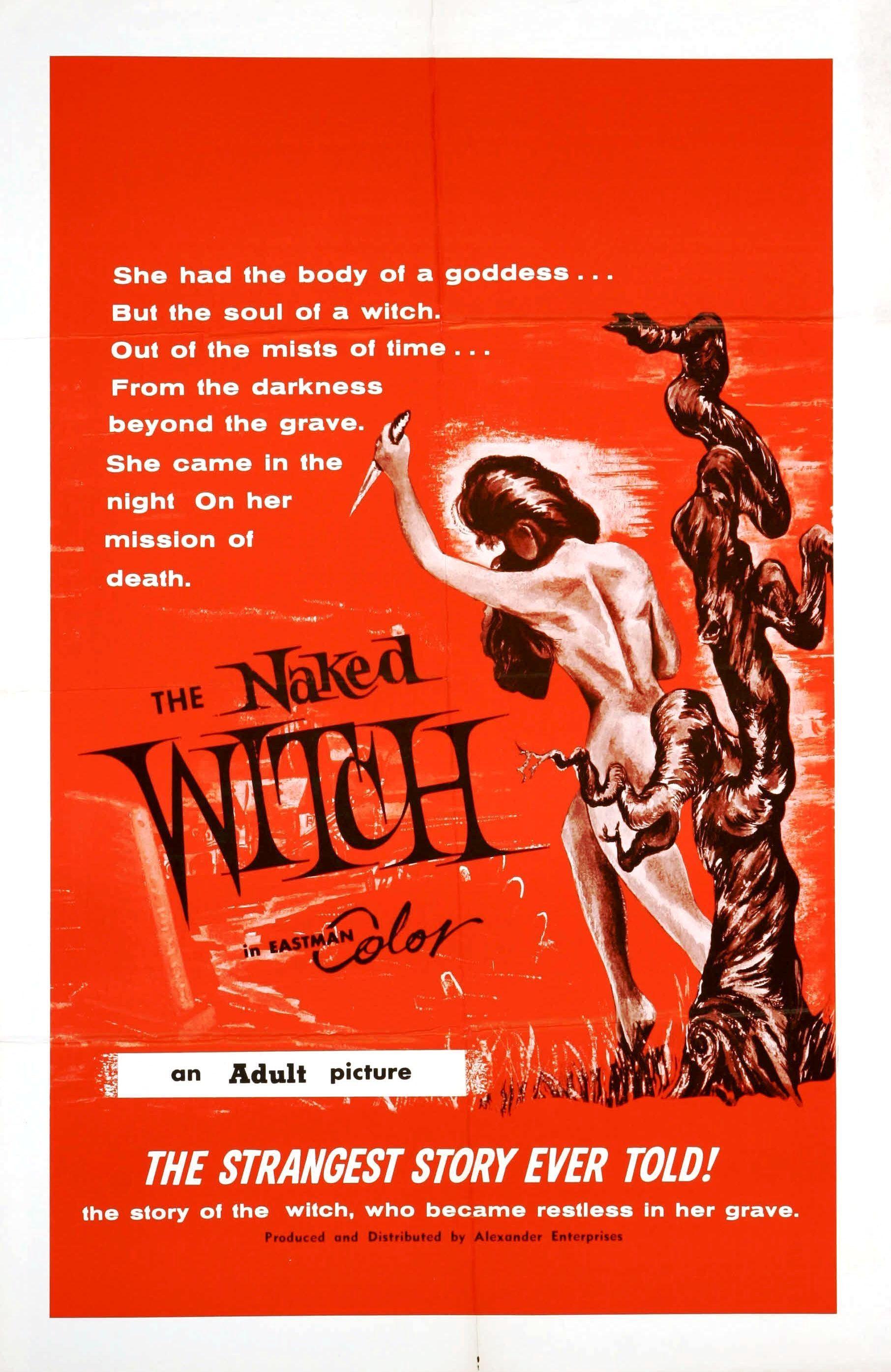 Постер фильма Naked Witch