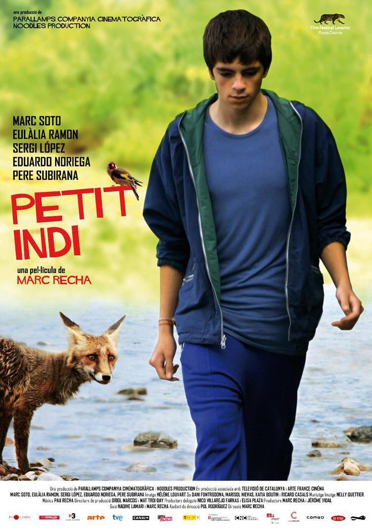 Постер фильма Маленький индиец | Petit indi