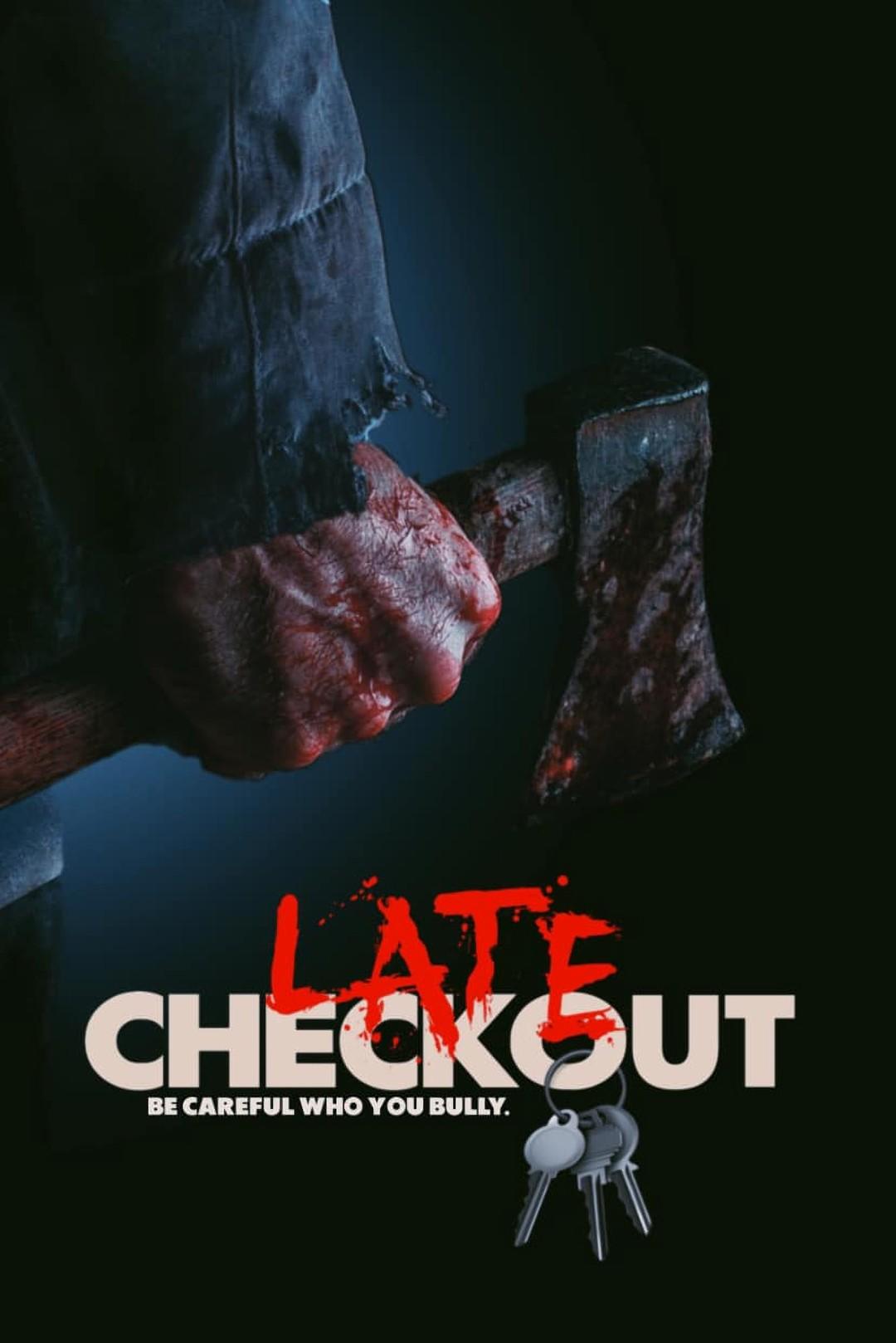 Постер фильма Late Checkout