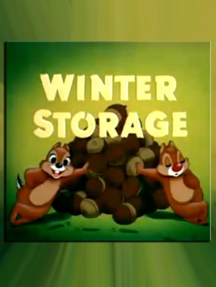 Постер фильма Winter Storage