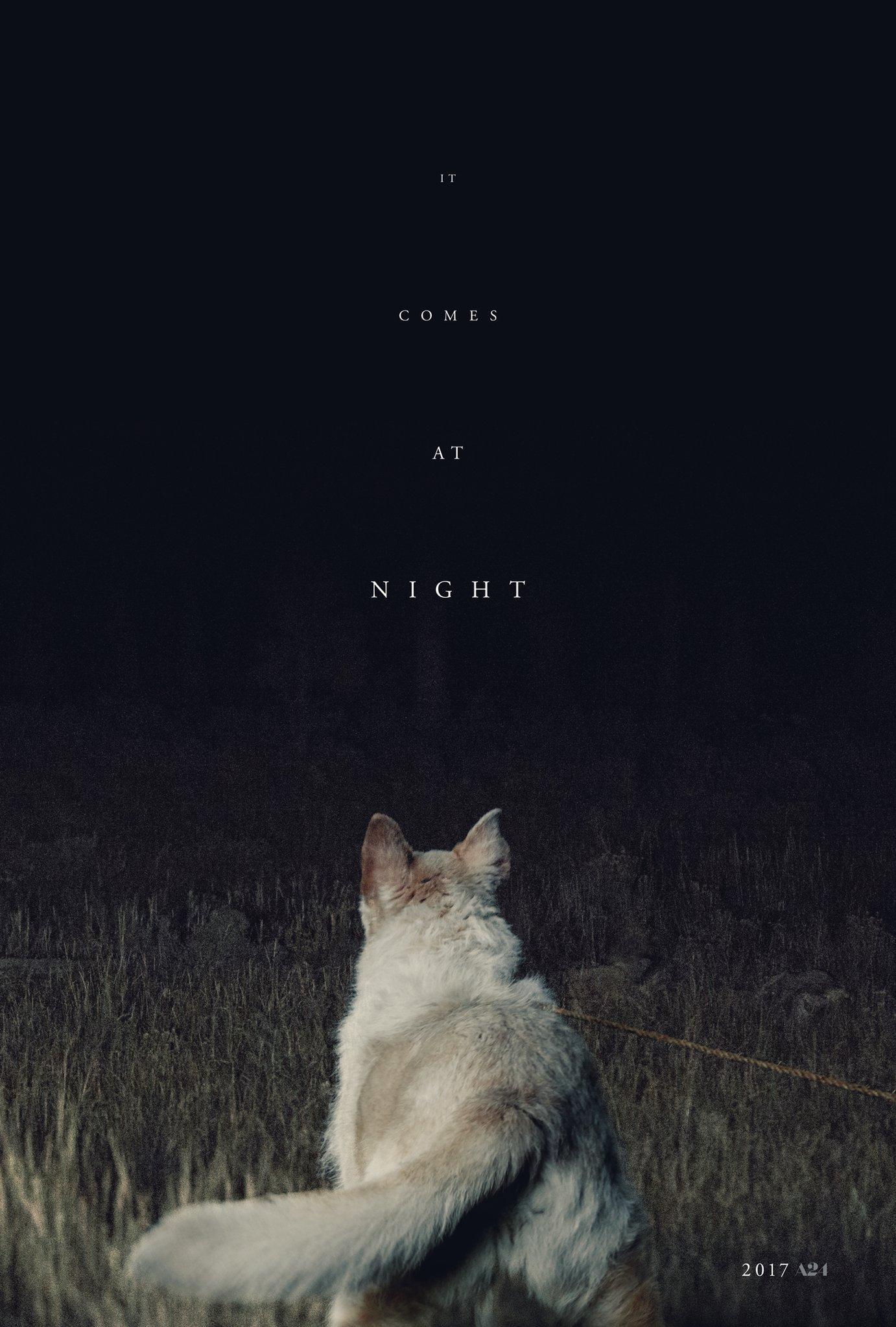 Постер фильма Оно приходит ночью | It Comes at Night
