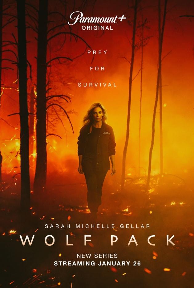 Постер фильма Волчья стая | Wolf Pack