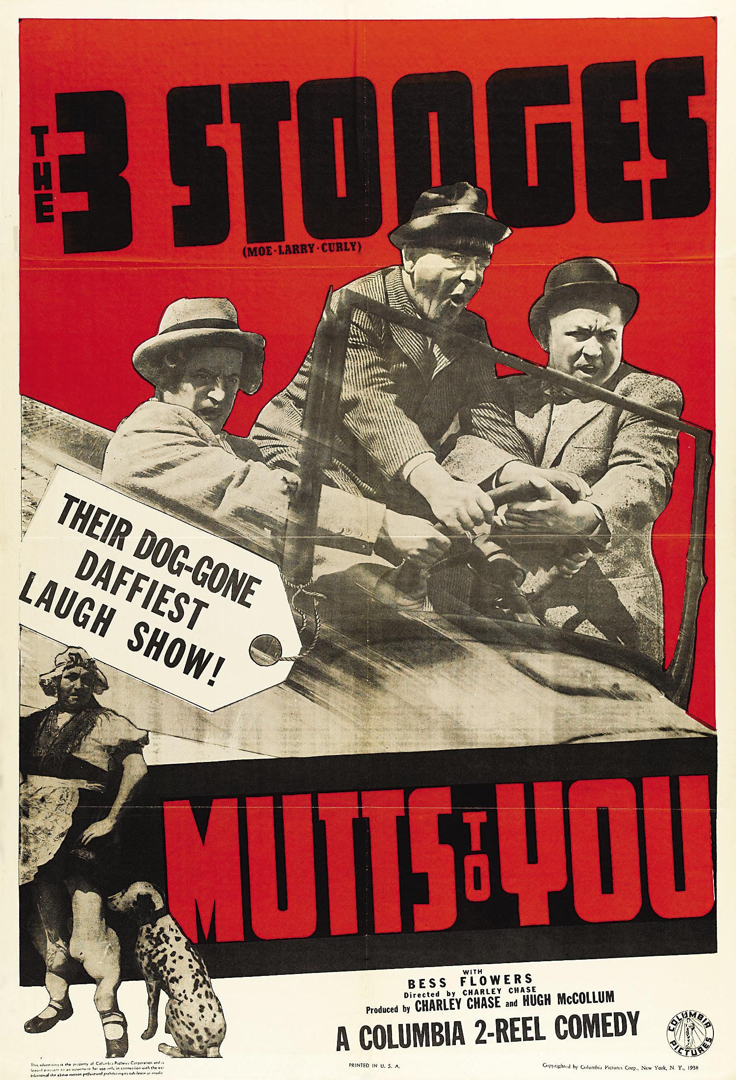 Постер фильма Mutts to You
