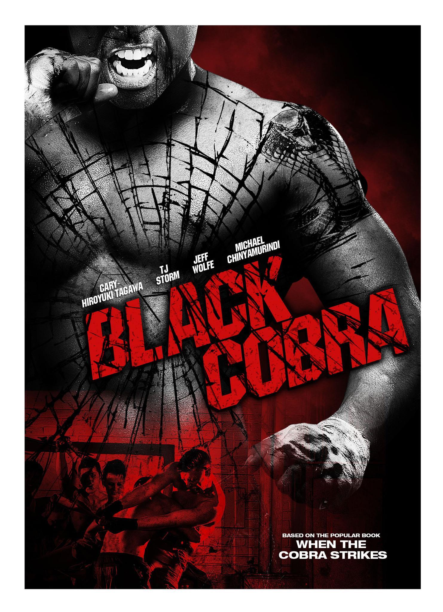 Постер фильма When the Cobra Strikes